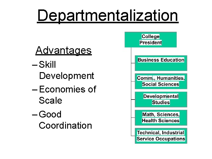 Departmentalization Advantages – Skill Development – Economies of Scale – Good Coordination 