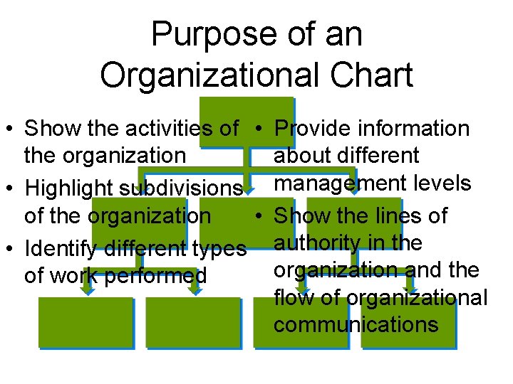 Purpose of an Organizational Chart • Show the activities of • Provide information the