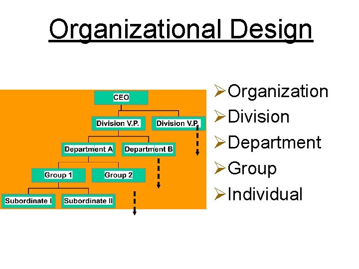Organizational Design ØOrganization ØDivision ØDepartment ØGroup ØIndividual 