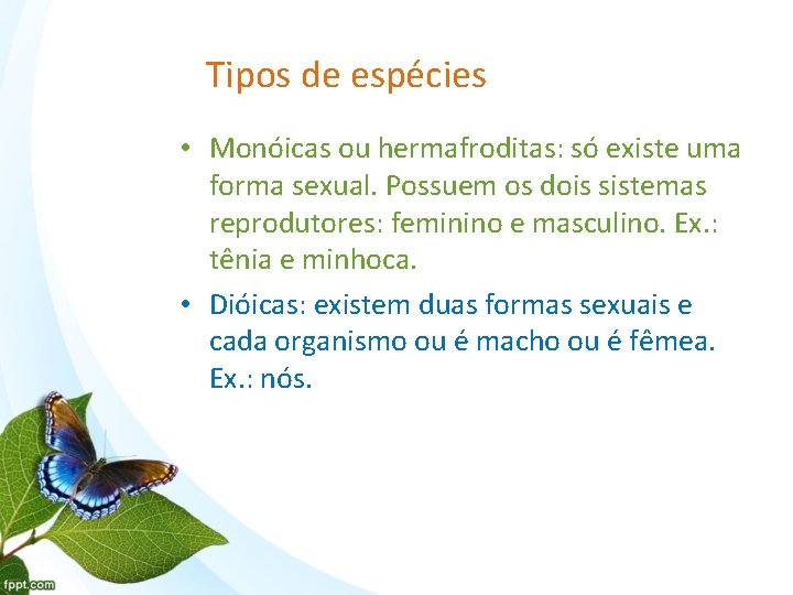 Tipos de espécies • Monóicas ou hermafroditas: só existe uma forma sexual. Possuem os