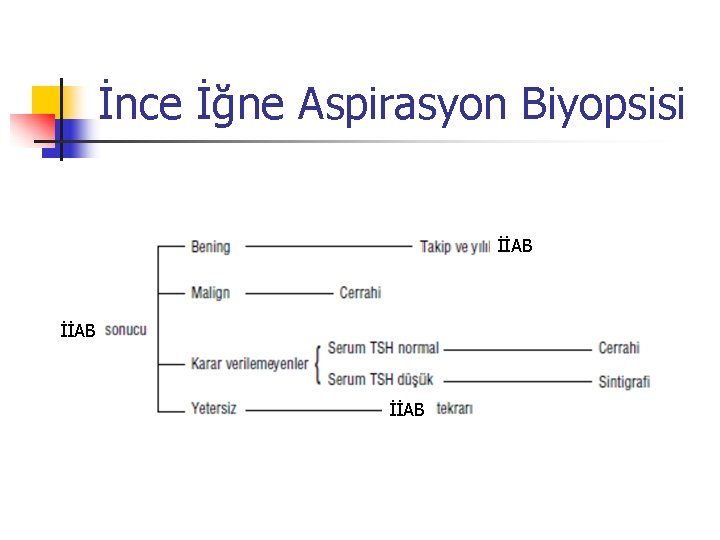 İnce İğne Aspirasyon Biyopsisi İİAB 