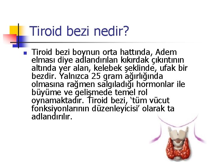 Tiroid bezi nedir? n Tiroid bezi boynun orta hattında, Adem elması diye adlandırılan kıkırdak