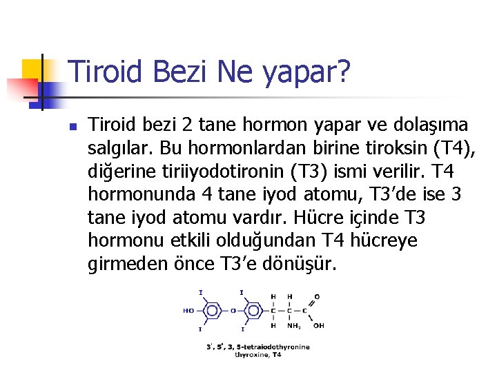 Tiroid Bezi Ne yapar? n Tiroid bezi 2 tane hormon yapar ve dolaşıma salgılar.