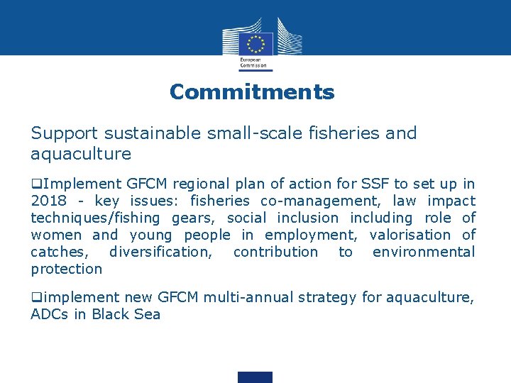 Commitments Support sustainable small-scale fisheries and aquaculture q. Implement GFCM regional plan of action