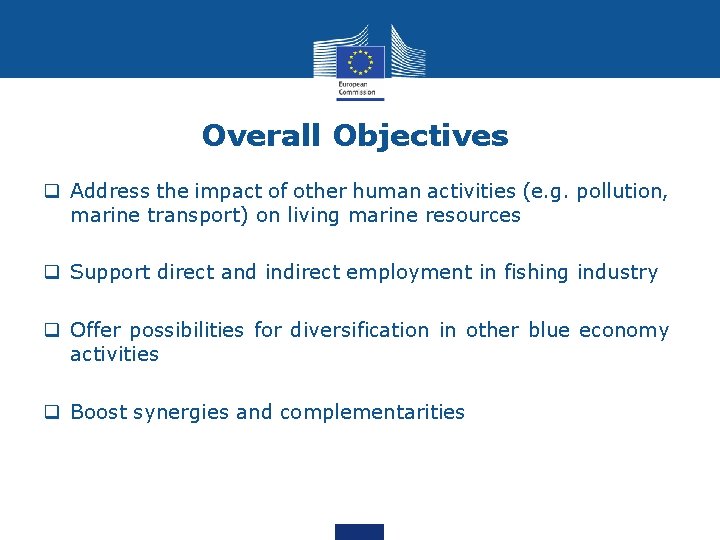 Overall Objectives q Address the impact of other human activities (e. g. pollution, marine