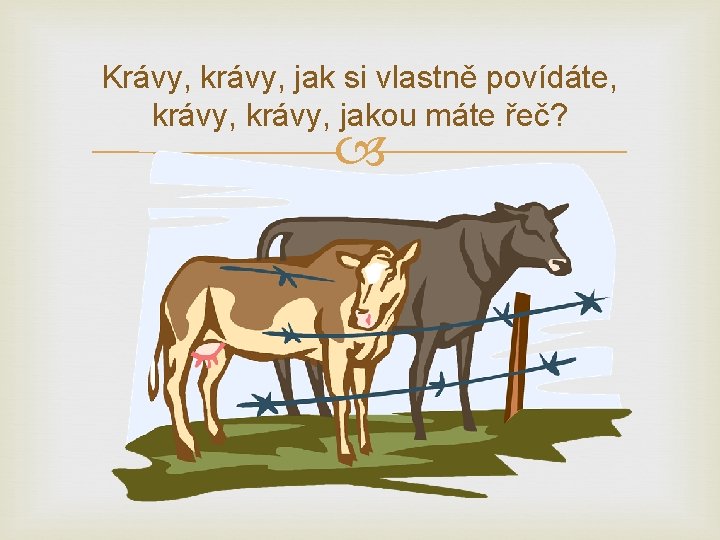 Krávy, krávy, jak si vlastně povídáte, krávy, jakou máte řeč? 