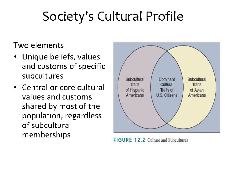 Society’s Cultural Profile Two elements: • Unique beliefs, values and customs of specific subcultures