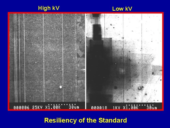 High k. V Low k. V Resiliency of the Standard 