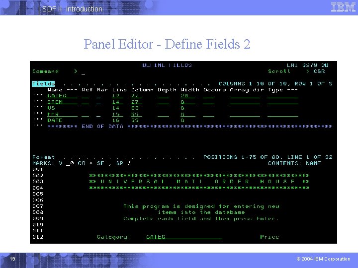 SDF II Introduction Panel Editor - Define Fields 2 19 © 2004 IBM Corporation