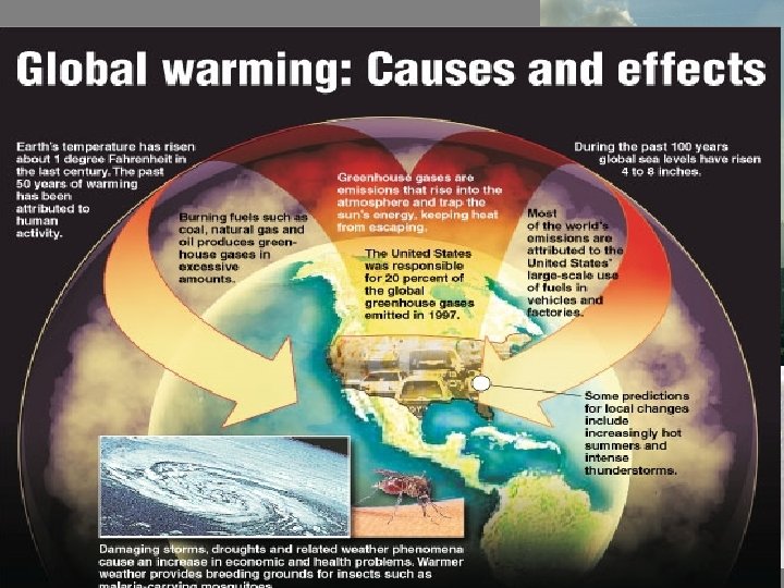 1. The solid fossil fuel is COAL (made from swamp plants) Burning coal causes