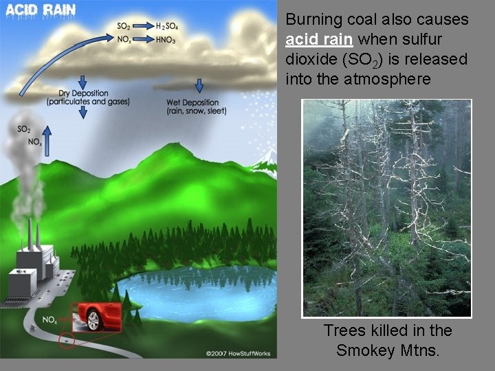 Burning coal also causes acid rain when sulfur dioxide (SO 2) is released into