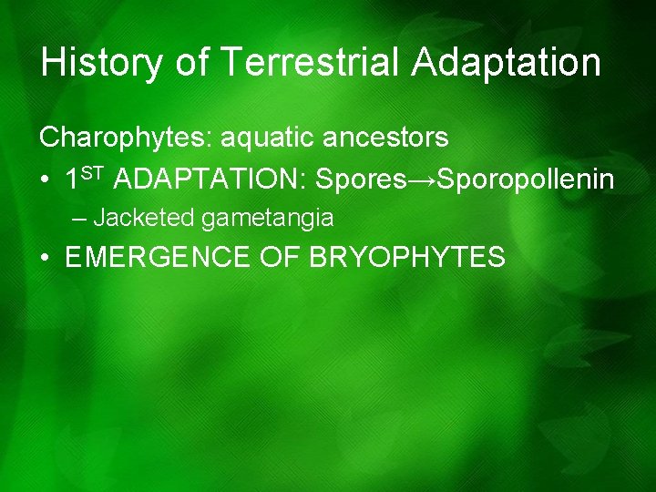 History of Terrestrial Adaptation Charophytes: aquatic ancestors • 1 ST ADAPTATION: Spores→Sporopollenin – Jacketed History of Terrestrial Adaptation Charophytes: aquatic ancestors • 1 ST ADAPTATION: Spores→Sporopollenin – Jacketed
