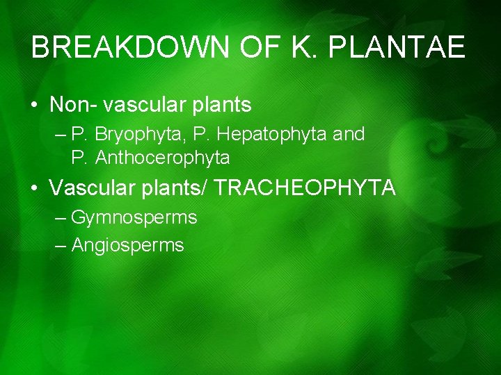 BREAKDOWN OF K. PLANTAE • Non- vascular plants – P. Bryophyta, P. Hepatophyta and BREAKDOWN OF K. PLANTAE • Non- vascular plants – P. Bryophyta, P. Hepatophyta and