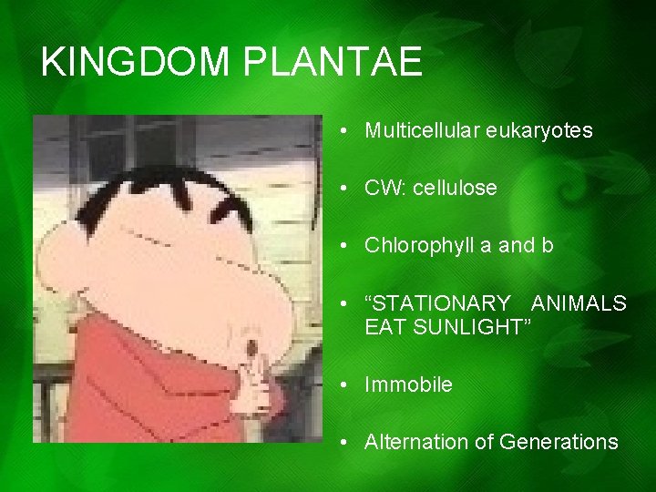 KINGDOM PLANTAE • Multicellular eukaryotes • CW: cellulose • Chlorophyll a and b • KINGDOM PLANTAE • Multicellular eukaryotes • CW: cellulose • Chlorophyll a and b •