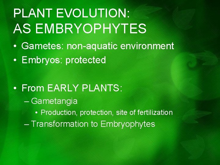 PLANT EVOLUTION: AS EMBRYOPHYTES • Gametes: non-aquatic environment • Embryos: protected • From EARLY PLANT EVOLUTION: AS EMBRYOPHYTES • Gametes: non-aquatic environment • Embryos: protected • From EARLY