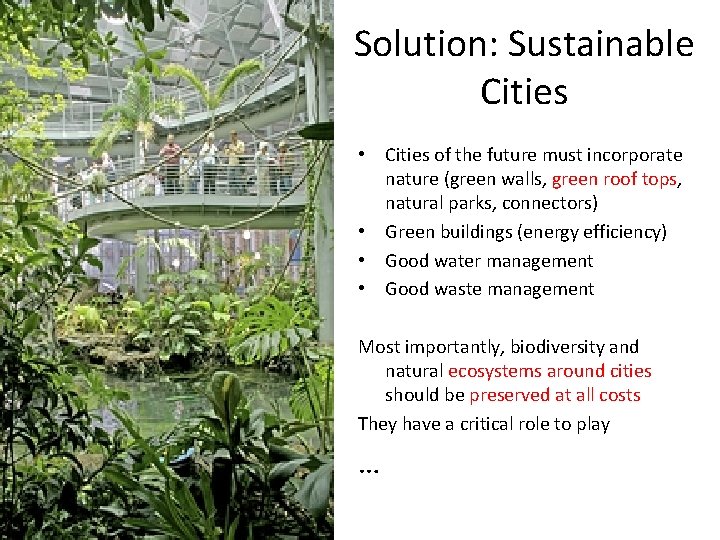 Solution: Sustainable Cities • Cities of the future must incorporate nature (green walls, green