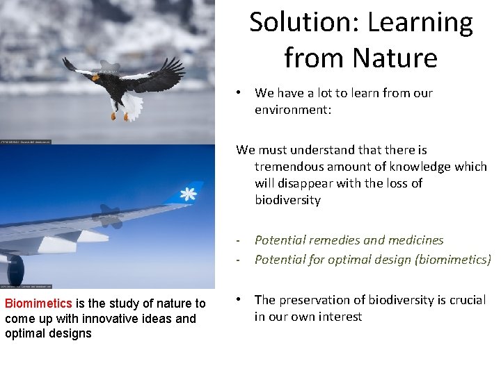 Solution: Learning from Nature • We have a lot to learn from our environment:
