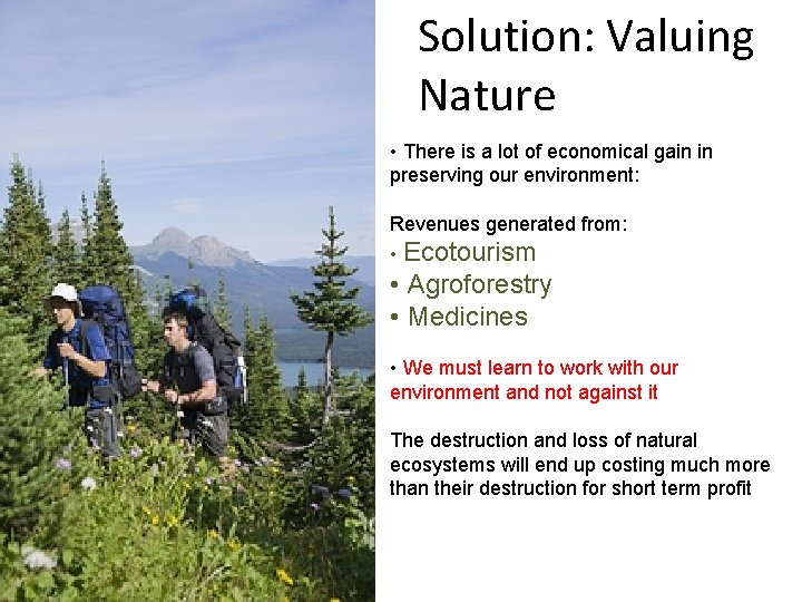 Solution: Valuing Nature • There is a lot of economical gain in preserving our