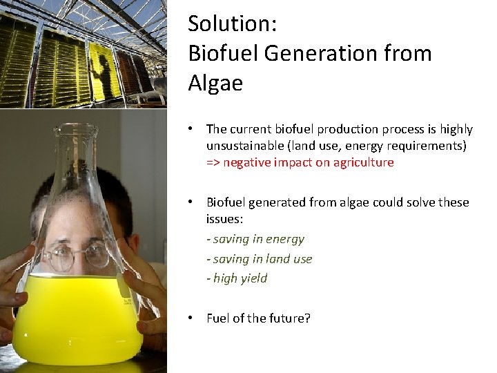 Solution: Biofuel Generation from Algae • The current biofuel production process is highly unsustainable