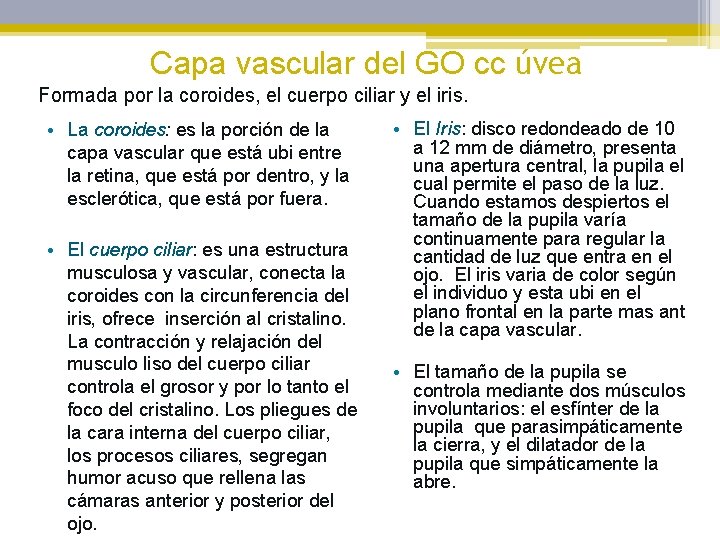 Capa vascular del GO cc úvea Formada por la coroides, el cuerpo ciliar y