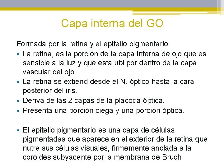 Capa interna del GO Formada por la retina y el epitelio pigmentario • La