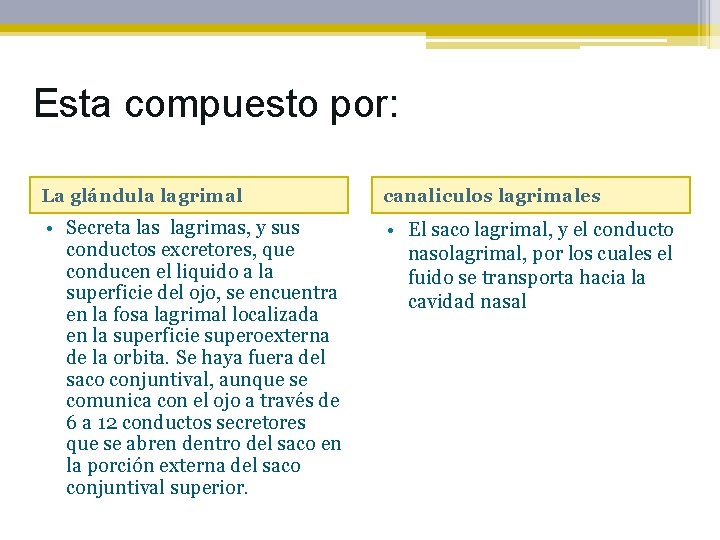 Esta compuesto por: La glándula lagrimal canaliculos lagrimales • Secreta las lagrimas, y sus