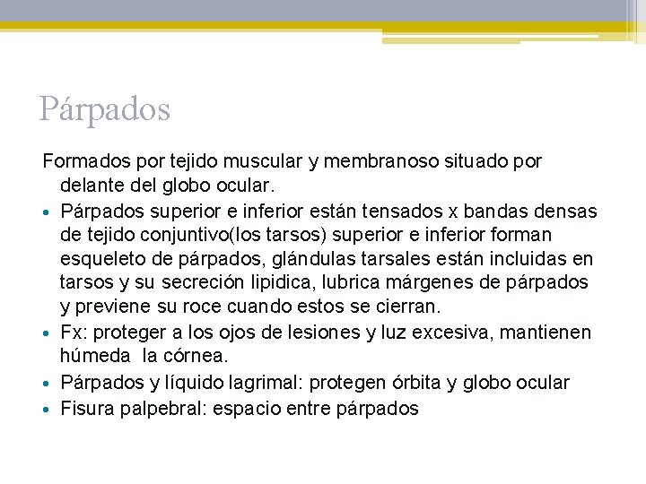 Párpados Formados por tejido muscular y membranoso situado por delante del globo ocular. •