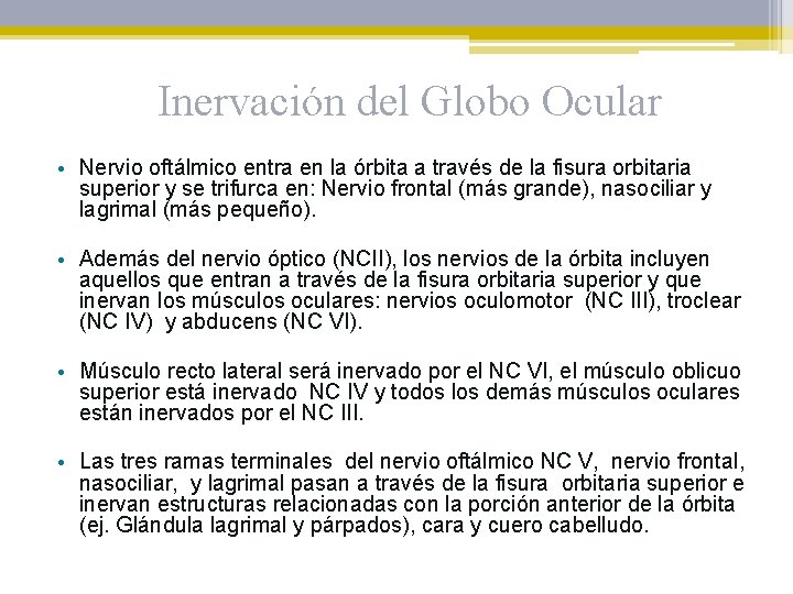Inervación del Globo Ocular • Nervio oftálmico entra en la órbita a través de