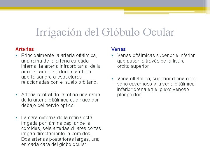 Irrigación del Glóbulo Ocular Arterias • Principalmente la arteria oftálmica, una rama de la