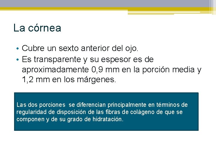 La córnea • Cubre un sexto anterior del ojo. • Es transparente y su