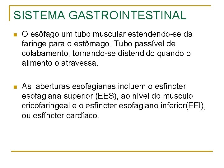SISTEMA GASTROINTESTINAL n O esôfago um tubo muscular estendendo-se da faringe para o estômago.