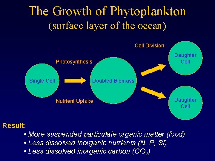 The Growth of Phytoplankton (surface layer of the ocean) Cell Division Photosynthesis Single Cell