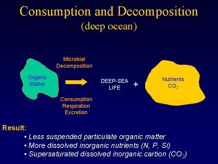 Consumption and Decomposition (deep ocean) Microbial Decomposition Organic Matter DEEP-SEA LIFE + Nutrients CO