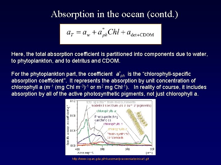Absorption in the ocean (contd. ) Here, the total absorption coefficient is partitioned into