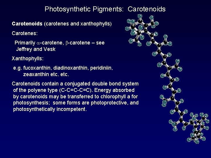 Photosynthetic Pigments: Carotenoids (carotenes and xanthophylls) Carotenes: Primarily a-carotene, -carotene – see Jeffrey and