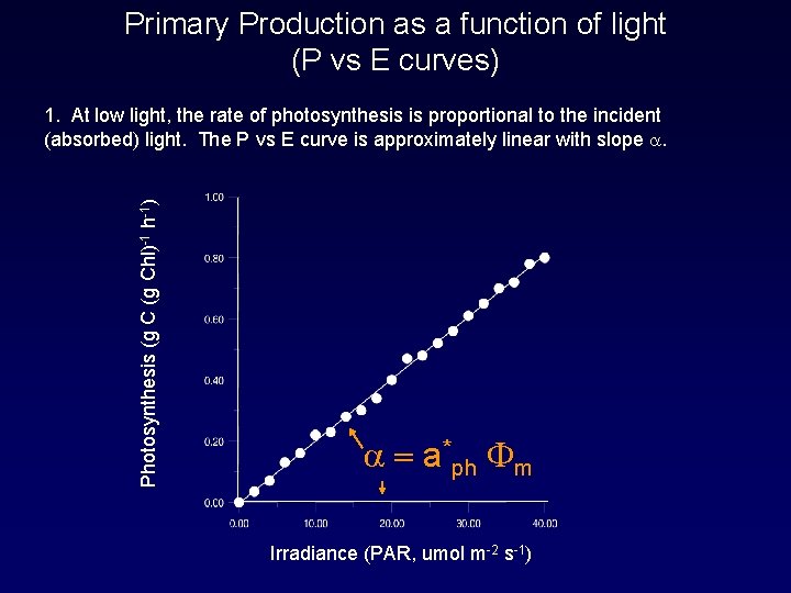 Primary Production as a function of light (P vs E curves) Photosynthesis (g Chl)-1