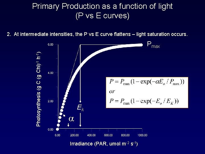 Primary Production as a function of light (P vs E curves) 2. At intermediate
