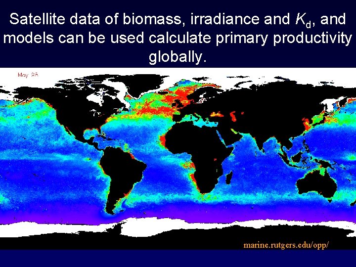 Satellite data of biomass, irradiance and Kd, and models can be used calculate primary