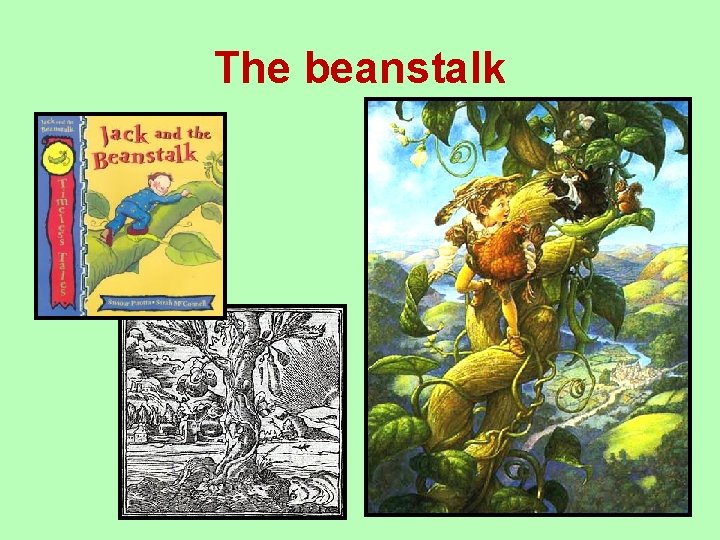 The beanstalk 