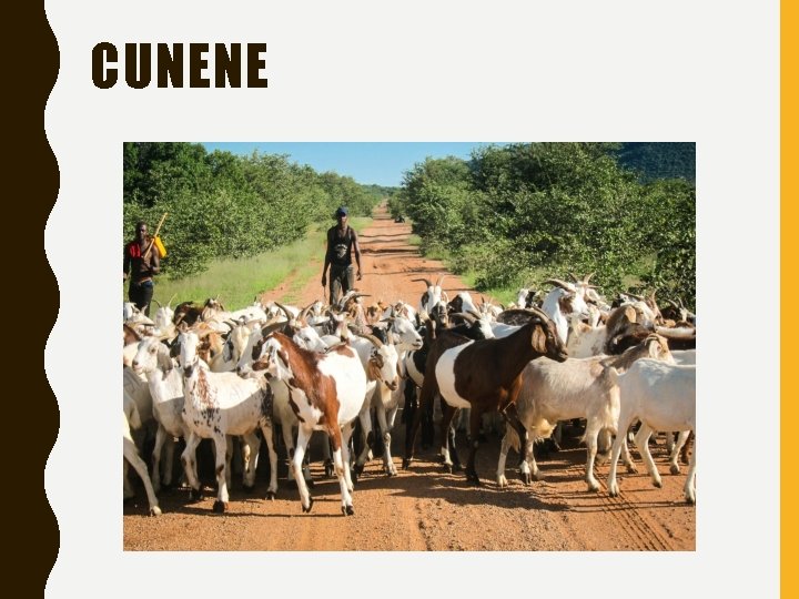 CUNENE 