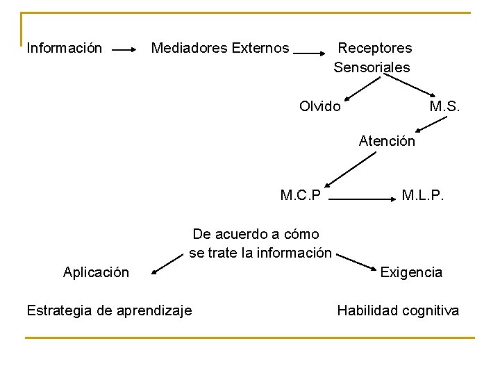 Información Mediadores Externos Receptores Sensoriales Olvido M. S. Atención M. C. P M. L. Información Mediadores Externos Receptores Sensoriales Olvido M. S. Atención M. C. P M. L.