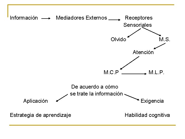 Información Mediadores Externos Receptores Sensoriales Olvido M. S. Atención M. C. P M. L.