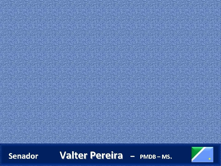  Senador Valter Pereira – PMDB – MS. 