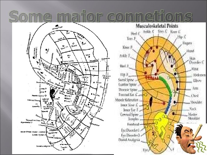 Some major connetions 