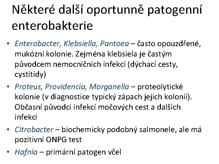 Některé další oportunně patogenní enterobakterie • Enterobacter, Klebsiella, Pantoea – často opouzdřené, mukózní kolonie.