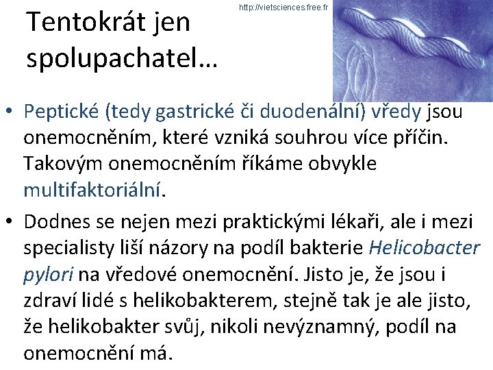 Tentokrát jen spolupachatel… http: //vietsciences. free. fr • Peptické (tedy gastrické či duodenální) vředy