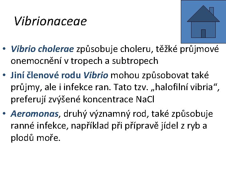 Vibrionaceae • Vibrio cholerae způsobuje choleru, těžké průjmové onemocnění v tropech a subtropech •