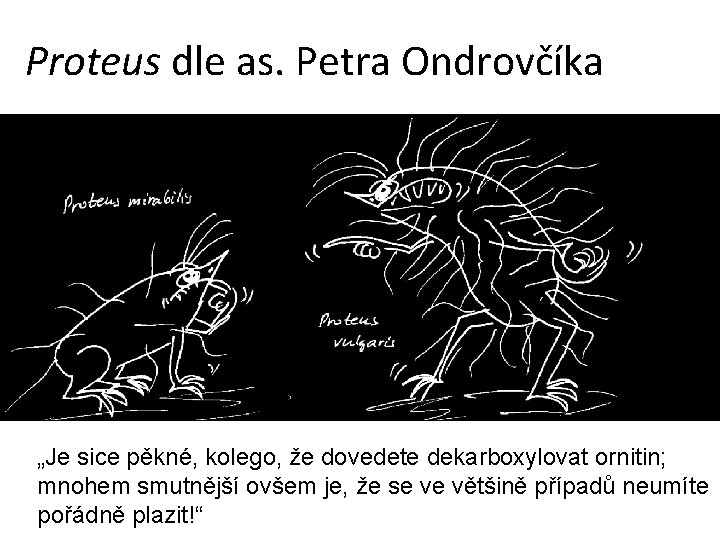 Proteus dle as. Petra Ondrovčíka „Je sice pěkné, kolego, že dovedete dekarboxylovat ornitin; mnohem