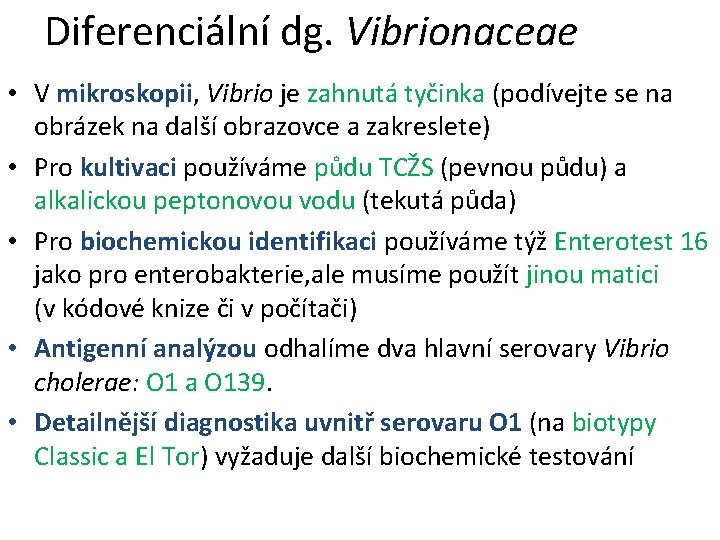 Diferenciální dg. Vibrionaceae • V mikroskopii, Vibrio je zahnutá tyčinka (podívejte se na obrázek