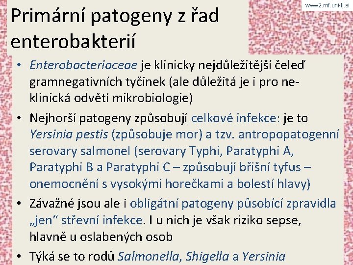 Primární patogeny z řad enterobakterií www 2. mf. uni-lj. si • Enterobacteriaceae je klinicky